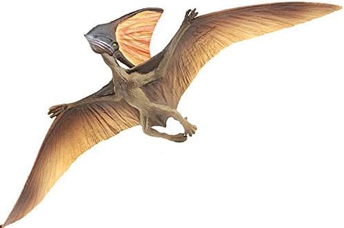 Pterosaur Dinosaur Toy Figure Width -21 cm Height-9cm | Flying Flat Dino