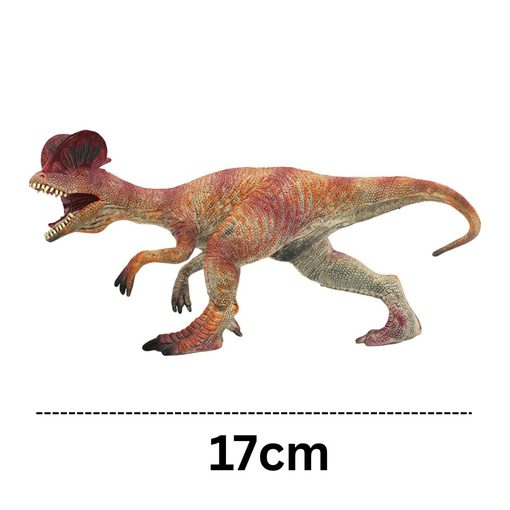 Pentaceratops Dinosaur Toy Figure Width-17cm | Double Crown Medium Dino