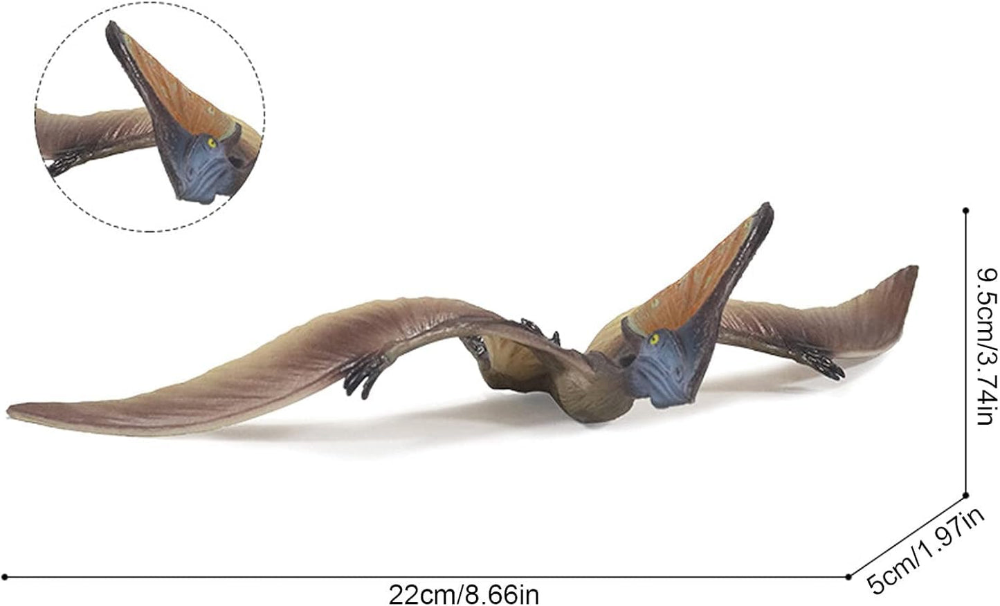Pterosaur Dinosaur Toy Figure Width -21 cm Height-9cm | Flying Flat Dino