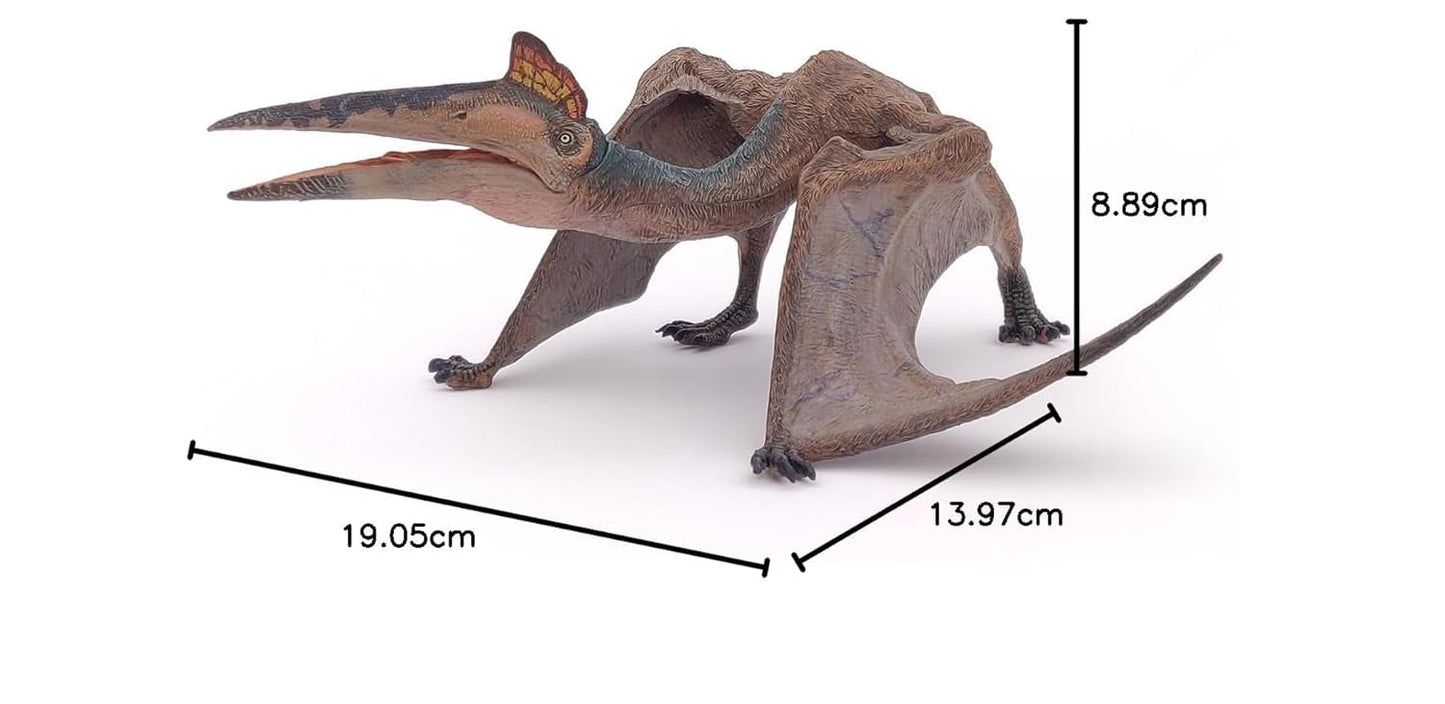 Dinosaur Toy Figure Width -20cm Quetzalcoatlus Toy | Wings with Long Beak Dino