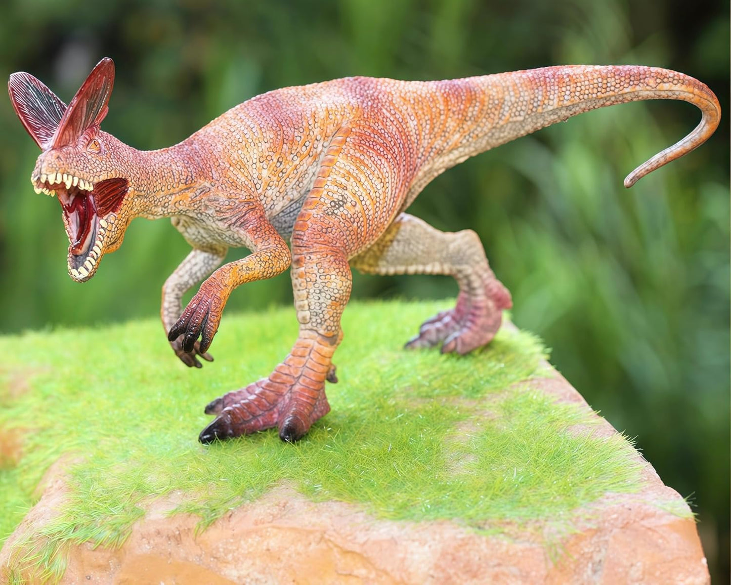 Pentaceratops Dinosaur Toy Figure Width-17cm | Double Crown Medium Dino