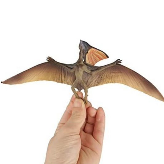 Pterosaur Dinosaur Toy Figure Width -21 cm Height-9cm | Flying Flat Dino