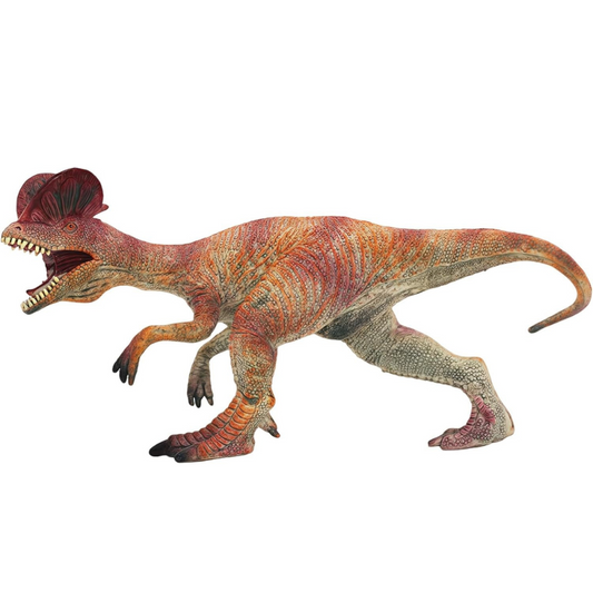 Pentaceratops Dinosaur Toy Figure Width-17cm | Double Crown Medium Dino